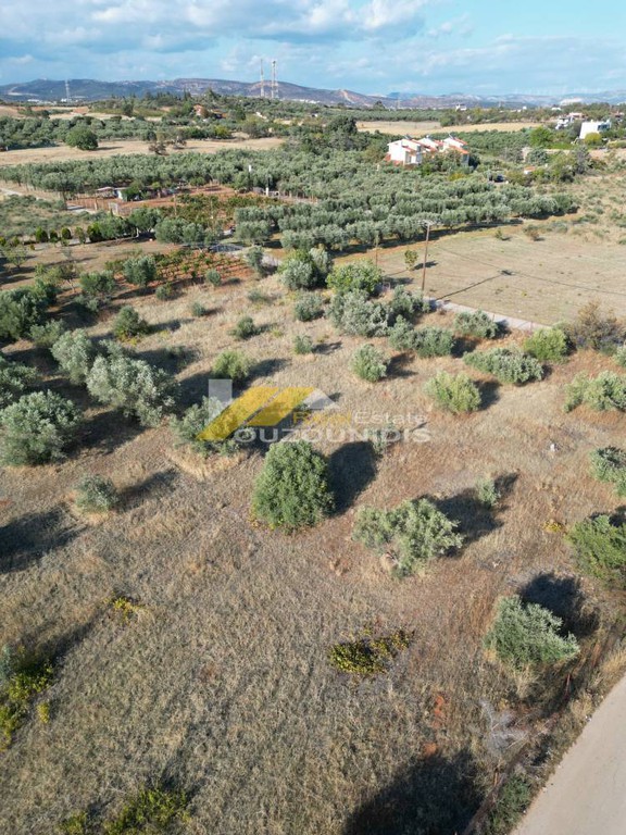 Αγροτεμάχια 4.000 τ.μ. προς πώληση, Κέντρο Αλεξανδρούπολης