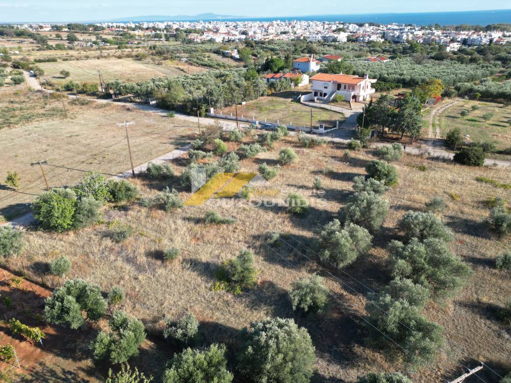 Αγροτεμάχια 4.000 τ.μ. προς πώληση, Κέντρο Αλεξανδρούπολης