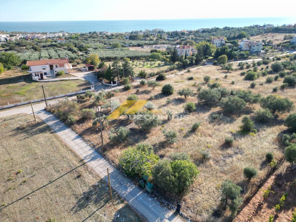 Αγροτεμάχια 4.000 τ.μ. προς πώληση, Κέντρο Αλεξανδρούπολης