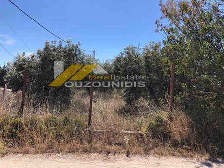 Parcel 4.000sqm for sale-Alexandroupoli » Center