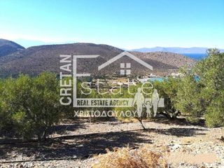 Οικόπεδο 6.809 τ.μ. για πώληση, Ν. Λασιθίου, Ιεράπετρα-thumb-3