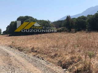 Αγροτεμάχια 2.500 τ.μ. για πώληση, Εβρος, Σαμοθράκη-thumb-4