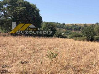 Αγροτεμάχια 2.500 τ.μ. για πώληση, Εβρος, Σαμοθράκη-thumb-3