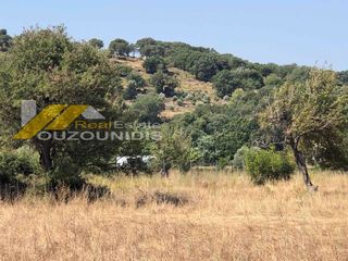 Αγροτεμάχια 2.500 τ.μ. για πώληση, Εβρος, Σαμοθράκη-thumb-6