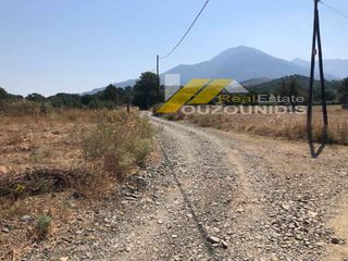 Αγροτεμάχια 2.500 τ.μ. για πώληση, Εβρος, Σαμοθράκη-thumb-2