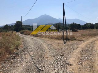 Αγροτεμάχια 2.500 τ.μ. για πώληση