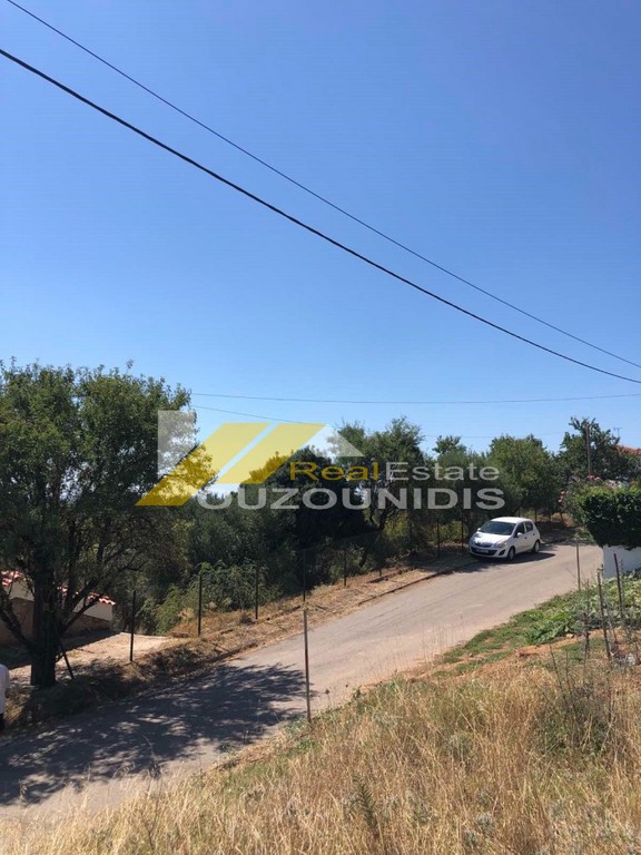 Οικόπεδο 528 τ.μ. πρός πώληση, Εβρος, Αλεξανδρούπολη