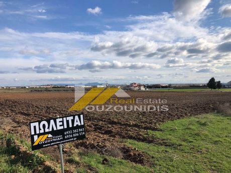 Parcel 10.000sqm for sale-Alexandroupoli » Apalos