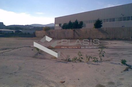 Οικόπεδο 9.500τ.μ. για πώληση-Άγιος στέφανος