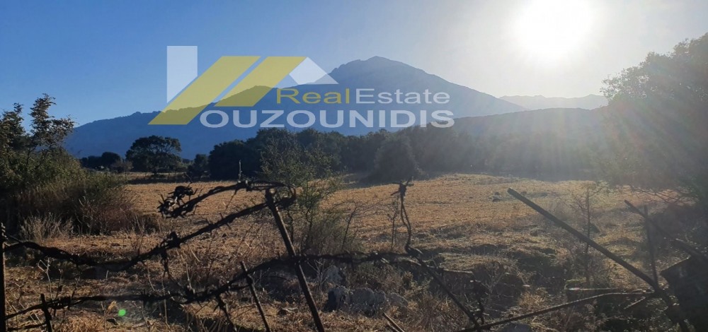 Αγροτεμάχια 6.200 τ.μ. πρός πώληση, Εβρος, Σαμοθράκη