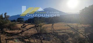 Αγροτεμάχια 6.200 τ.μ. για πώληση, Εβρος, Σαμοθράκη-thumb-1