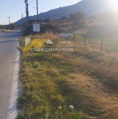 Αγροτεμάχια 6.200 τ.μ. για πώληση, Εβρος, Σαμοθράκη-thumb-4
