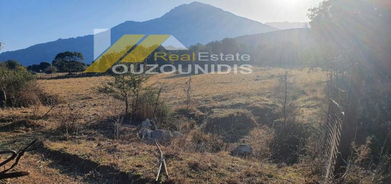 Αγροτεμάχια 6.200 τ.μ. για πώληση, Εβρος, Σαμοθράκη