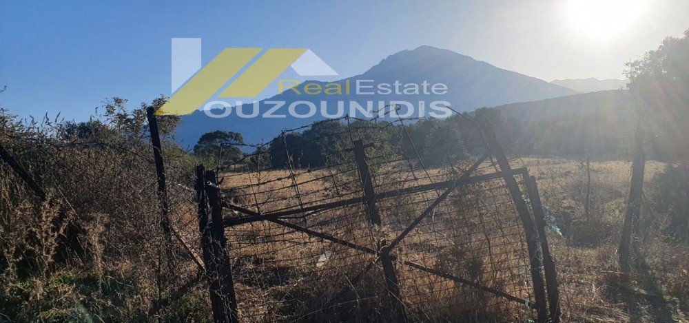 Αγροτεμάχια 6.200 τ.μ. πρός πώληση, Εβρος, Σαμοθράκη