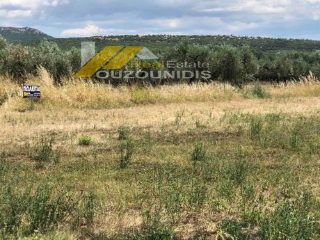 Parcel 20.000sqm for sale-Alexandroupoli » Center
