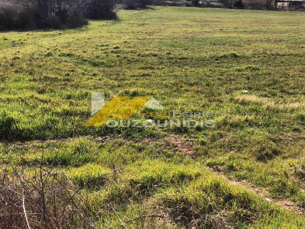Αγροτεμάχια 15.000 τ.μ. πρός πώληση, Εβρος, Αλεξανδρούπολη