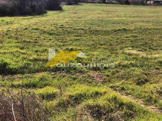 Αγροτεμάχια 15.000 τ.μ. για πώληση