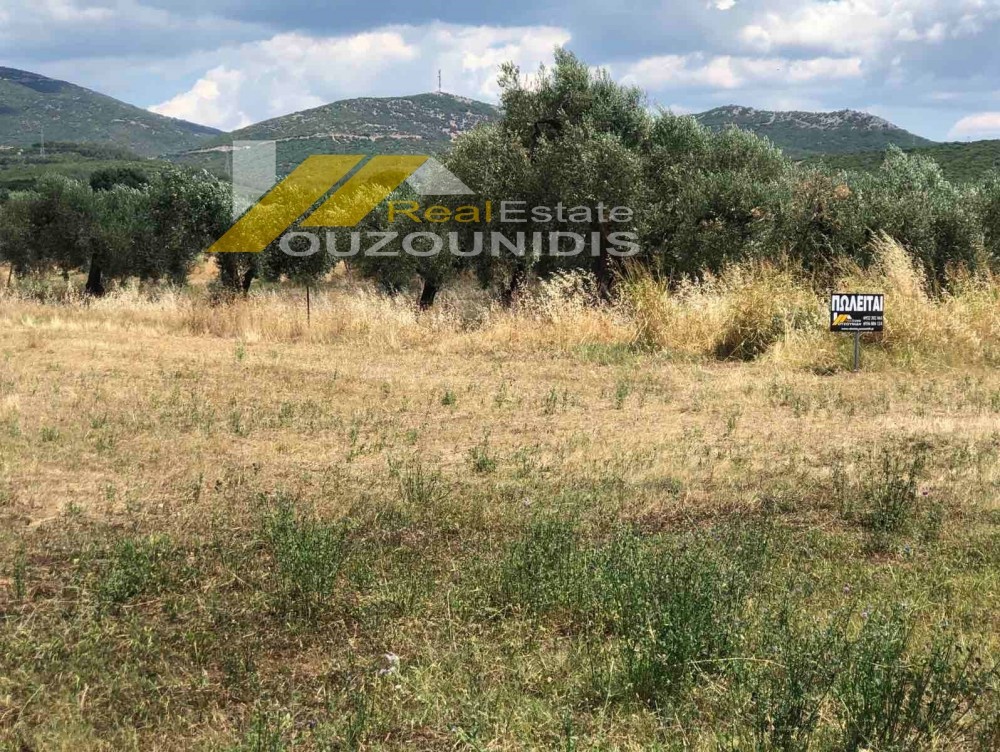 Αγροτεμάχια 2.300 τ.μ. πρός πώληση, Εβρος, Αλεξανδρούπολη