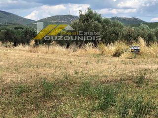 Αγροτεμάχια 2.300 τ.μ. για πώληση