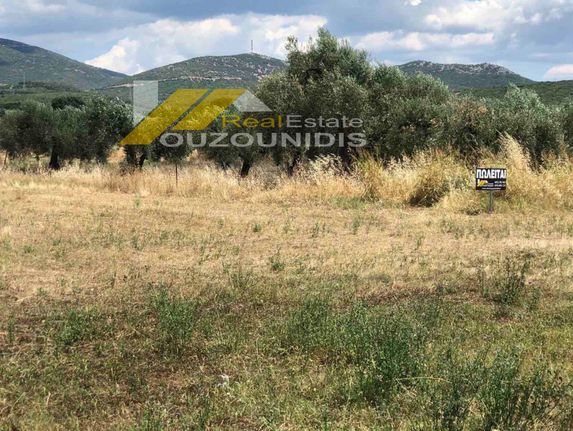 Αγροτεμάχια 2.300 τ.μ. για πώληση, Εβρος, Αλεξανδρούπολη