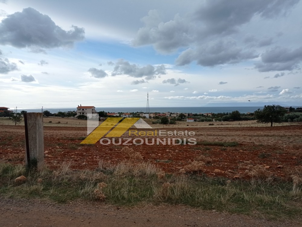 Αγροτεμάχια 10.000 τ.μ. πρός πώληση, Εβρος, Αλεξανδρούπολη