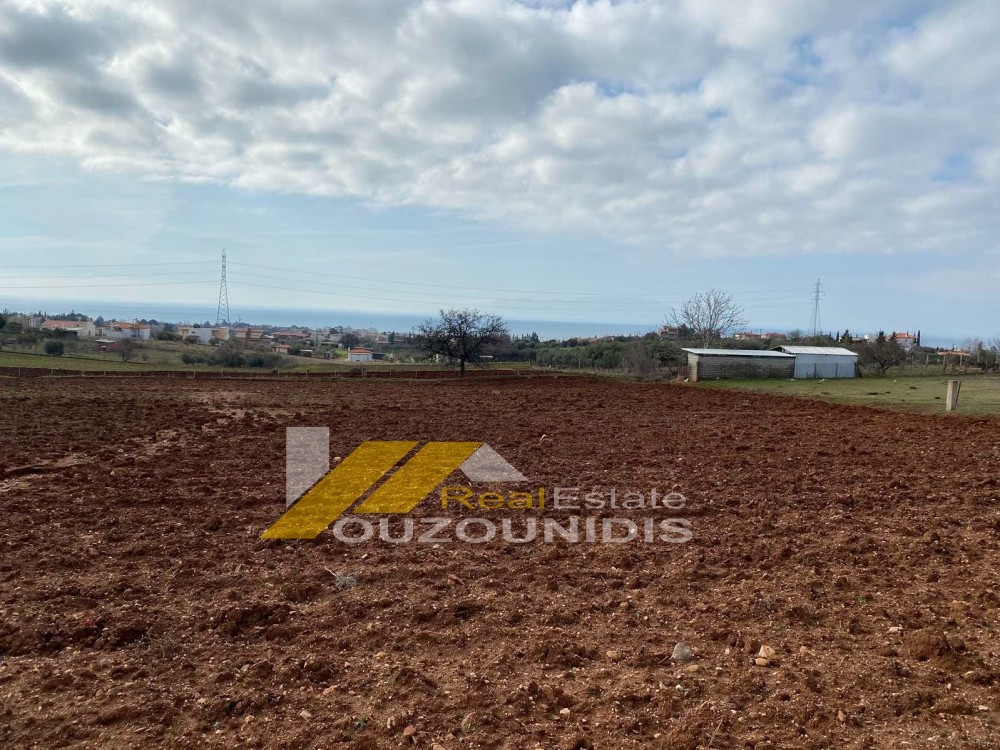 Αγροτεμάχια 10.000 τ.μ. πρός πώληση, Εβρος, Αλεξανδρούπολη