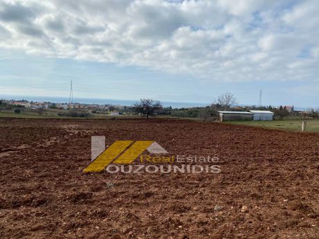 Parcel 10.000sqm for sale-Alexandroupoli » Center