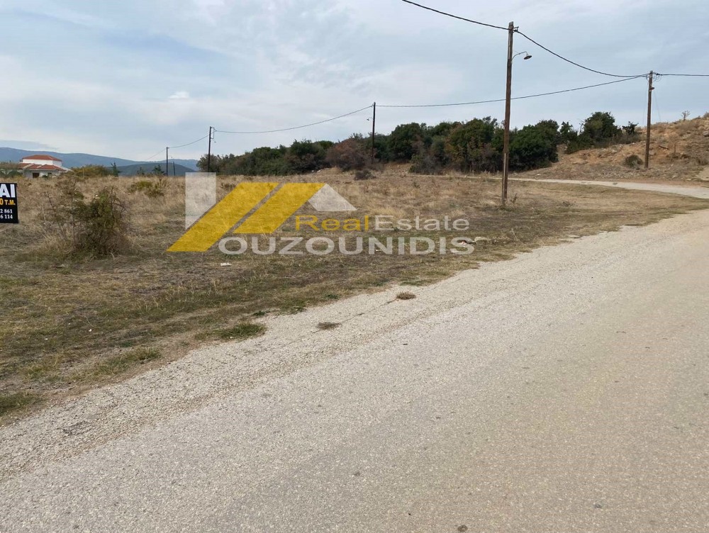 Αγροτεμάχια 6.600 τ.μ. πρός πώληση, Εβρος, Αλεξανδρούπολη
