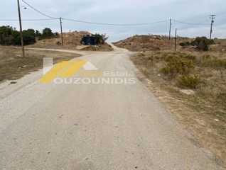 Αγροτεμάχια 6.600 τ.μ. για πώληση