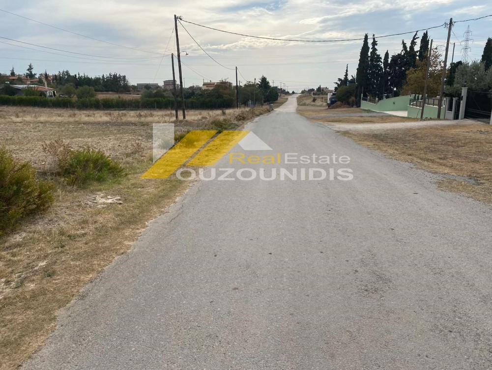 Αγροτεμάχια 6.600 τ.μ. πρός πώληση, Εβρος, Αλεξανδρούπολη