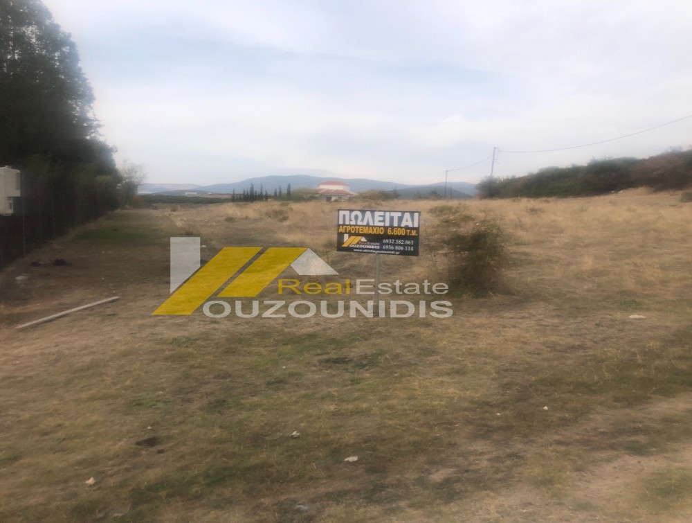 Αγροτεμάχια 6.600 τ.μ. πρός πώληση, Εβρος, Αλεξανδρούπολη
