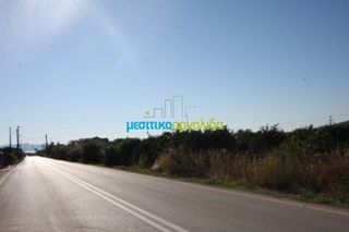 Οικόπεδο 15.000 τ.μ. για πώληση, Αργολίδα, Άργος-thumb-5