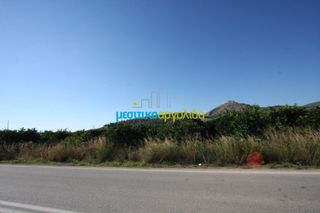 Οικόπεδο 15.000 τ.μ. για πώληση, Αργολίδα, Άργος-thumb-3