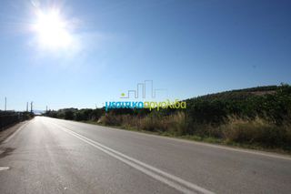Οικόπεδο 15.000 τ.μ. για πώληση, Αργολίδα, Άργος-thumb-2