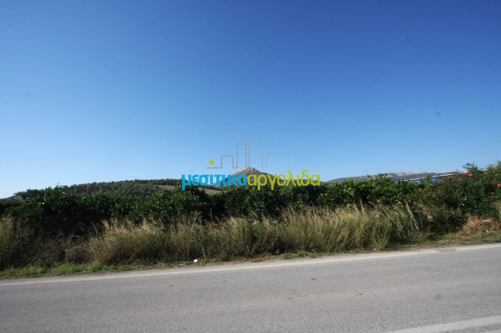 Οικόπεδο 15.000 τ.μ. για πώληση, Αργολίδα, Άργος