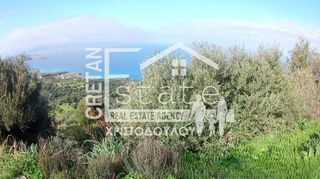 Αγροτεμάχια 4.500 τ.μ. για πώληση, Ν. Λασιθίου, Σητεία-thumb-1