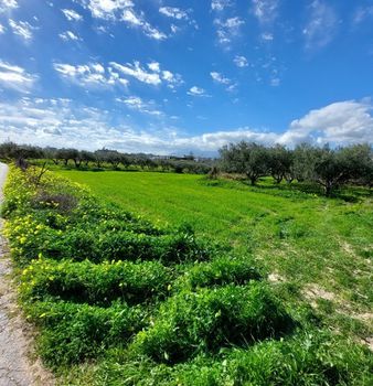 Land plot 2.200sqm for sale-Gazi » Agioi Theodoroi