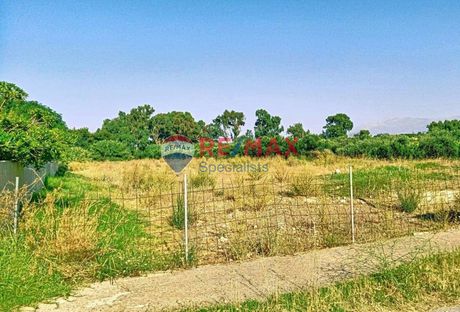 Land plot 3.000sqm for sale-Voukolies