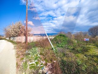 Αγροτεμάχια 1.744 τ.μ. για πώληση