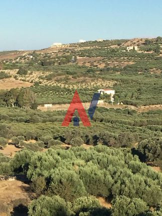 Οικόπεδο 13.000 τ.μ. για πώληση, Ν. Ηρακλείου, Τυμπάκι