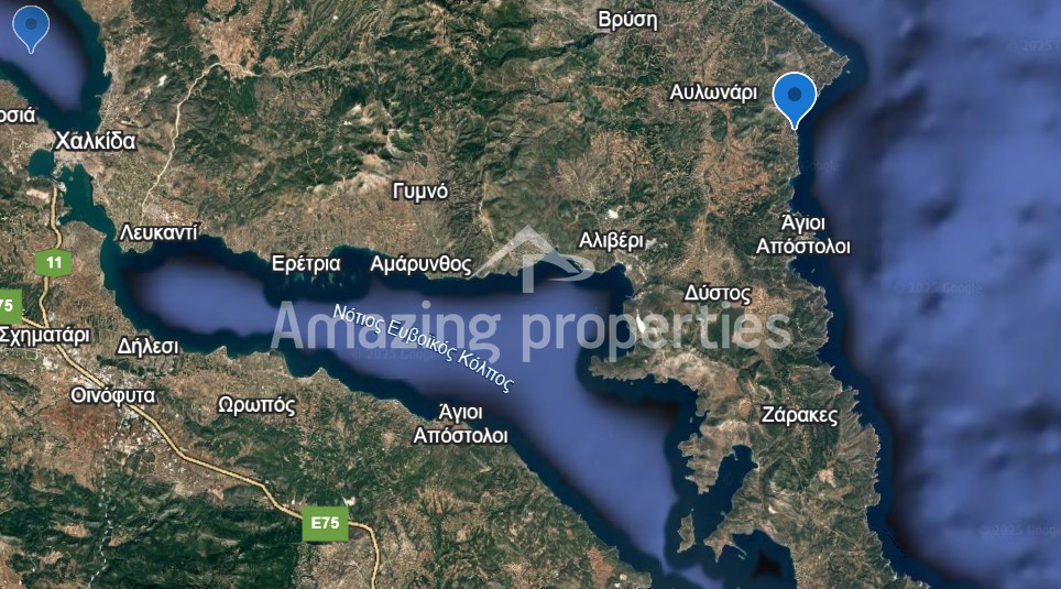 Οικόπεδο 7.329,02 τ.μ. πρός πώληση, Εύβοια, Αυλώνα