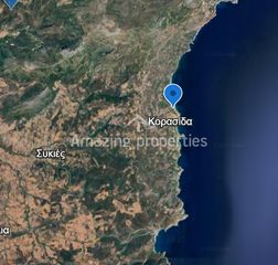 Οικόπεδο 7.329,02 τ.μ. προς πώληση, Κορασίδα-thumb-5