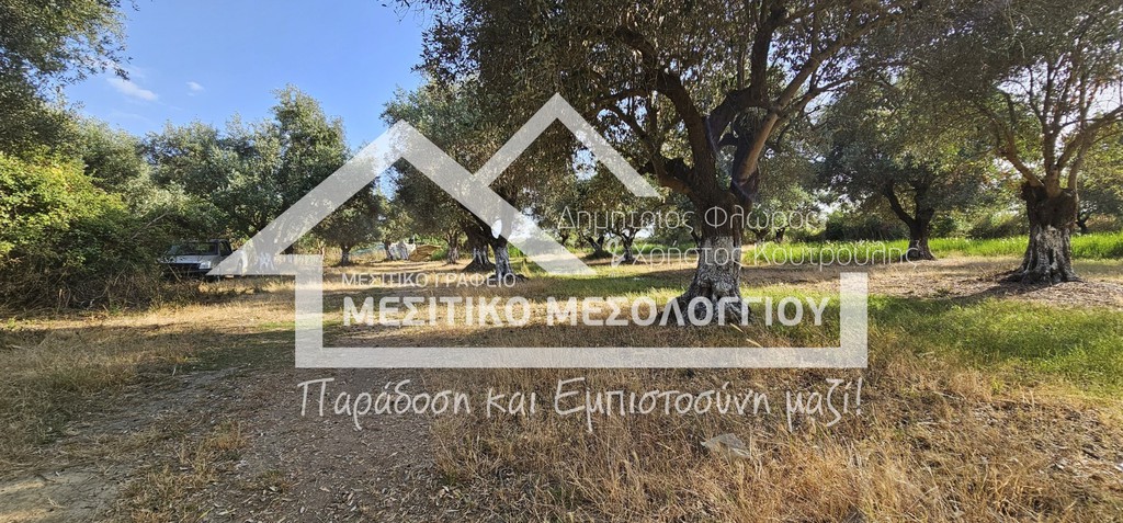 Αγροτεμάχια 7.250 τ.μ. πρός πώληση, Αιτωλοακαρνανία, Ιερά Πόλη Μεσολογγίου