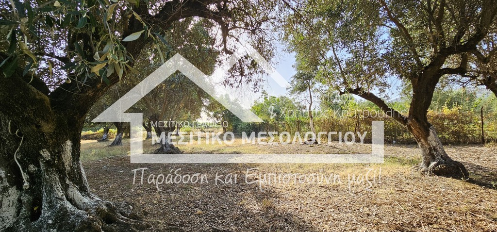 Αγροτεμάχια 7.250 τ.μ. πρός πώληση, Αιτωλοακαρνανία, Ιερά Πόλη Μεσολογγίου