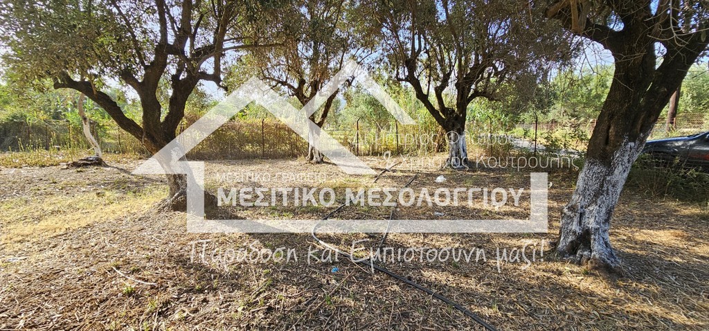 Αγροτεμάχια 7.250 τ.μ. πρός πώληση, Αιτωλοακαρνανία, Ιερά Πόλη Μεσολογγίου