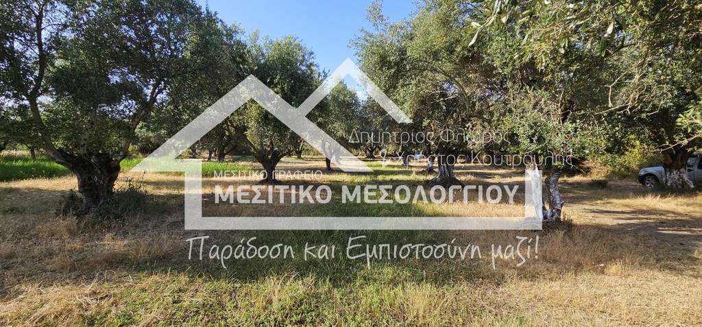 Αγροτεμάχια 7.250 τ.μ. πρός πώληση, Αιτωλοακαρνανία, Ιερά Πόλη Μεσολογγίου