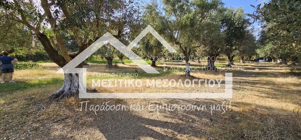 Αγροτεμάχια 7.250 τ.μ. πρός πώληση, Αιτωλοακαρνανία, Ιερά Πόλη Μεσολογγίου