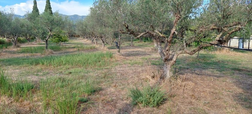 Οικόπεδο 2.800 τ.μ. πρός πώληση, Αιτωλοακαρνανία, Ιερά Πόλη Μεσολογγίου