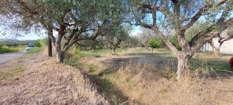 Οικόπεδο 2.800 τ.μ. πρός πώληση, Αιτωλοακαρνανία, Ιερά Πόλη Μεσολογγίου