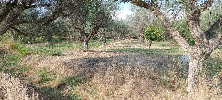 Οικόπεδο 2.800 τ.μ. πρός πώληση, Αιτωλοακαρνανία, Ιερά Πόλη Μεσολογγίου